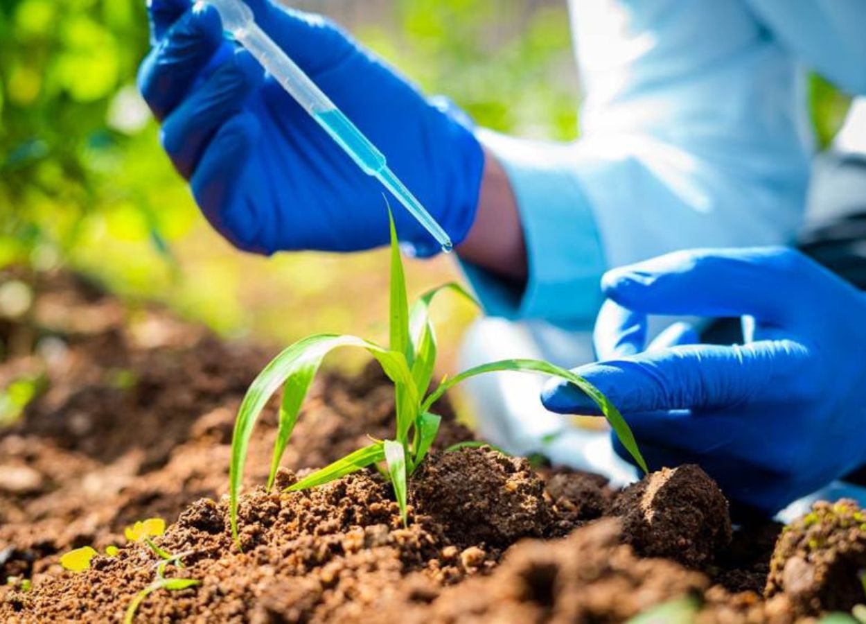 Brasil bate recorde de registros de insumos agrícolas em 2025