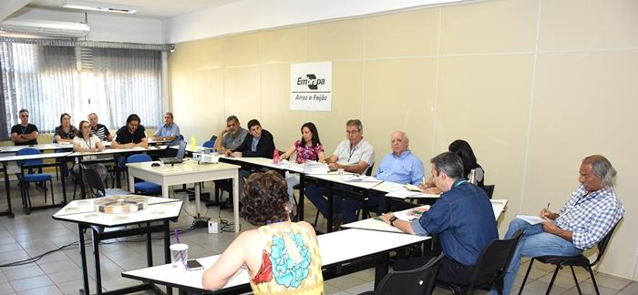 Setor produtivo busca fomentar o agronegócio do arroz em Goiás