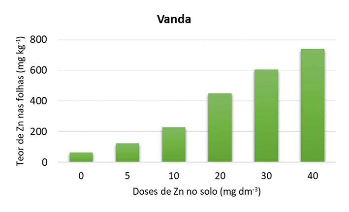 Figura 3 - Teores de Zn nas folhas de alface Vanda em função de doses de Zn aplicadas no solo