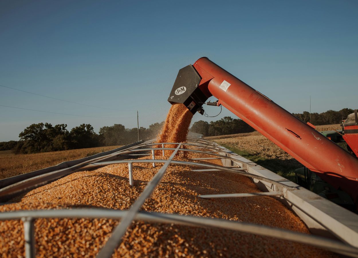 Corn Productivity Contest closes registration on the 30th