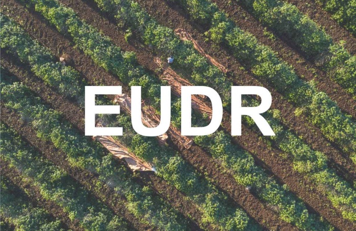 Brasil é classificado como risco médio no EUDR
