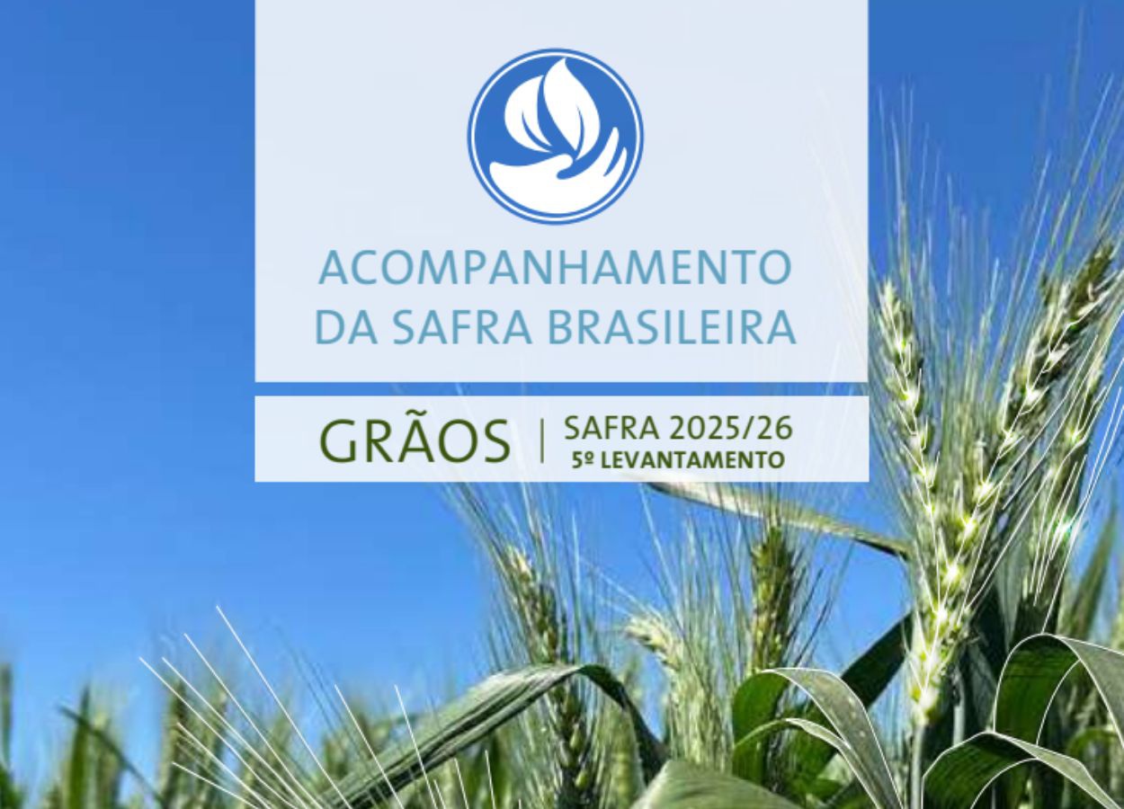 Safra de grãos 2025/26 deve atingir 353,4 milhões de toneladas