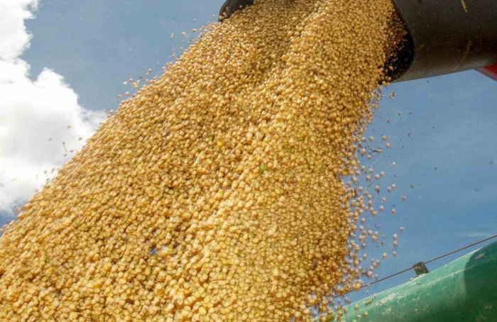 Tocantins consolida avanço da produção agrícola em 2026