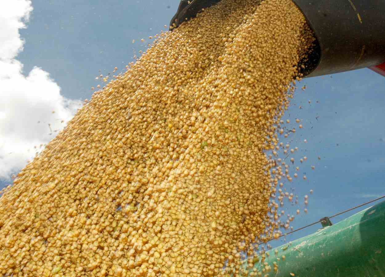 Tocantins consolida avanço da produção agrícola em 2026