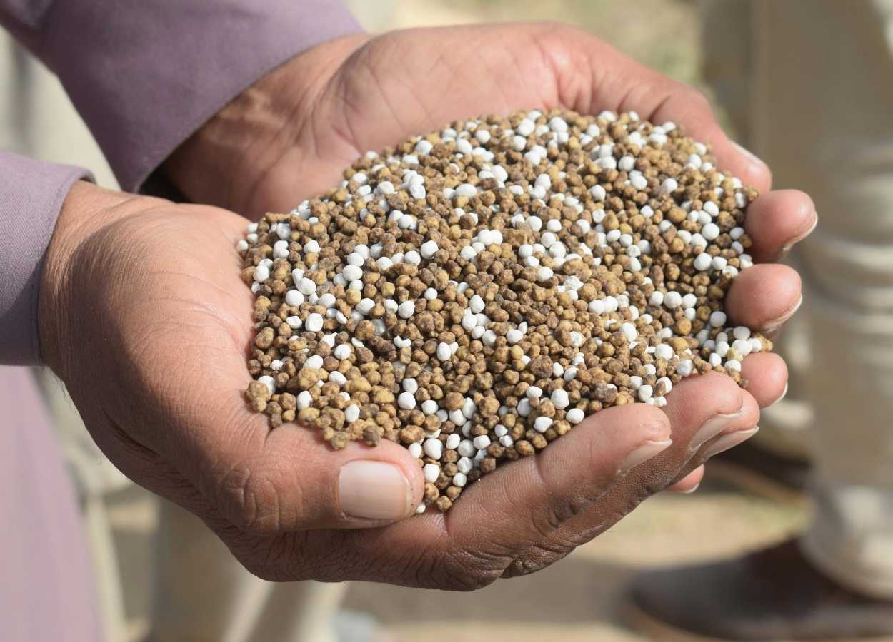 Entregas de fertilizantes crescem 10,7% até abril de 2025