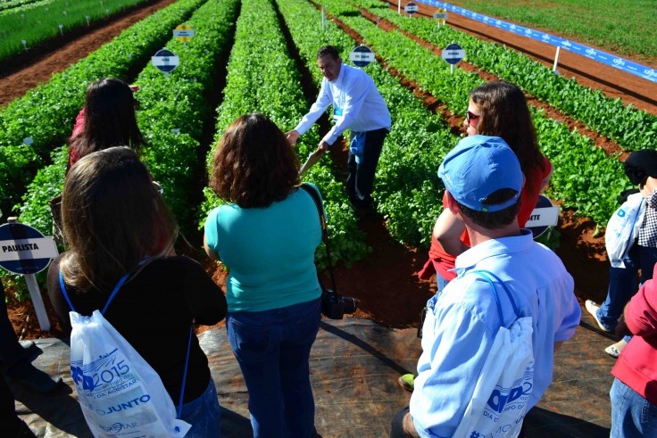 Dia de Campo da Agristar atrai mais de 3 mil participantes