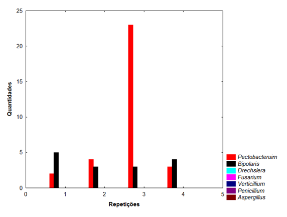 Gráfico 4 - Quantidades de fungos encontrados em sementes tratadas em meio AA