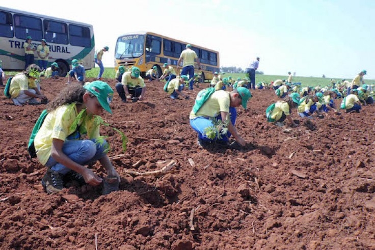 Lideranças da FMC e Usina Santa Terezinha participam do plantio de mudas com crianças do “Semeando o Verde”