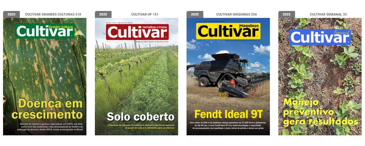 Capas - 2025