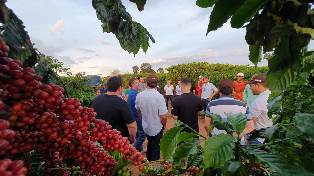 Representantes e exportadores de café fazem a rota dos Robustas