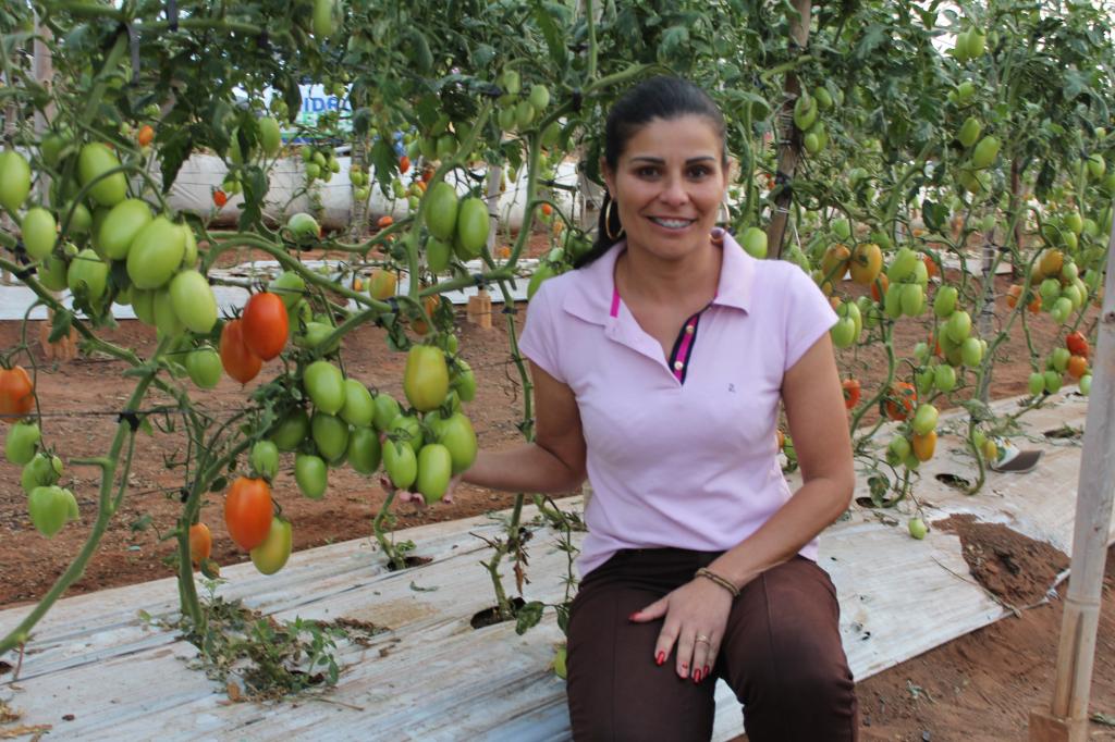 ​Tomate Parma F1 mostra resultados e conquista produtores