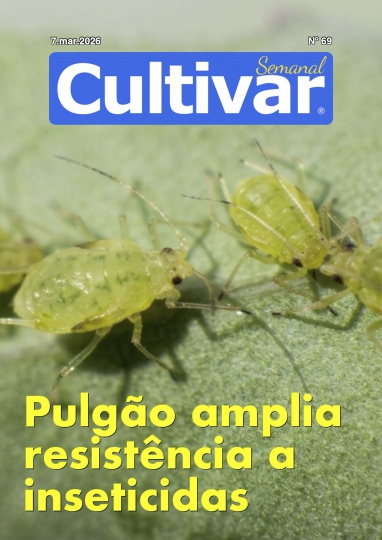 Cultivar Semanal 69
