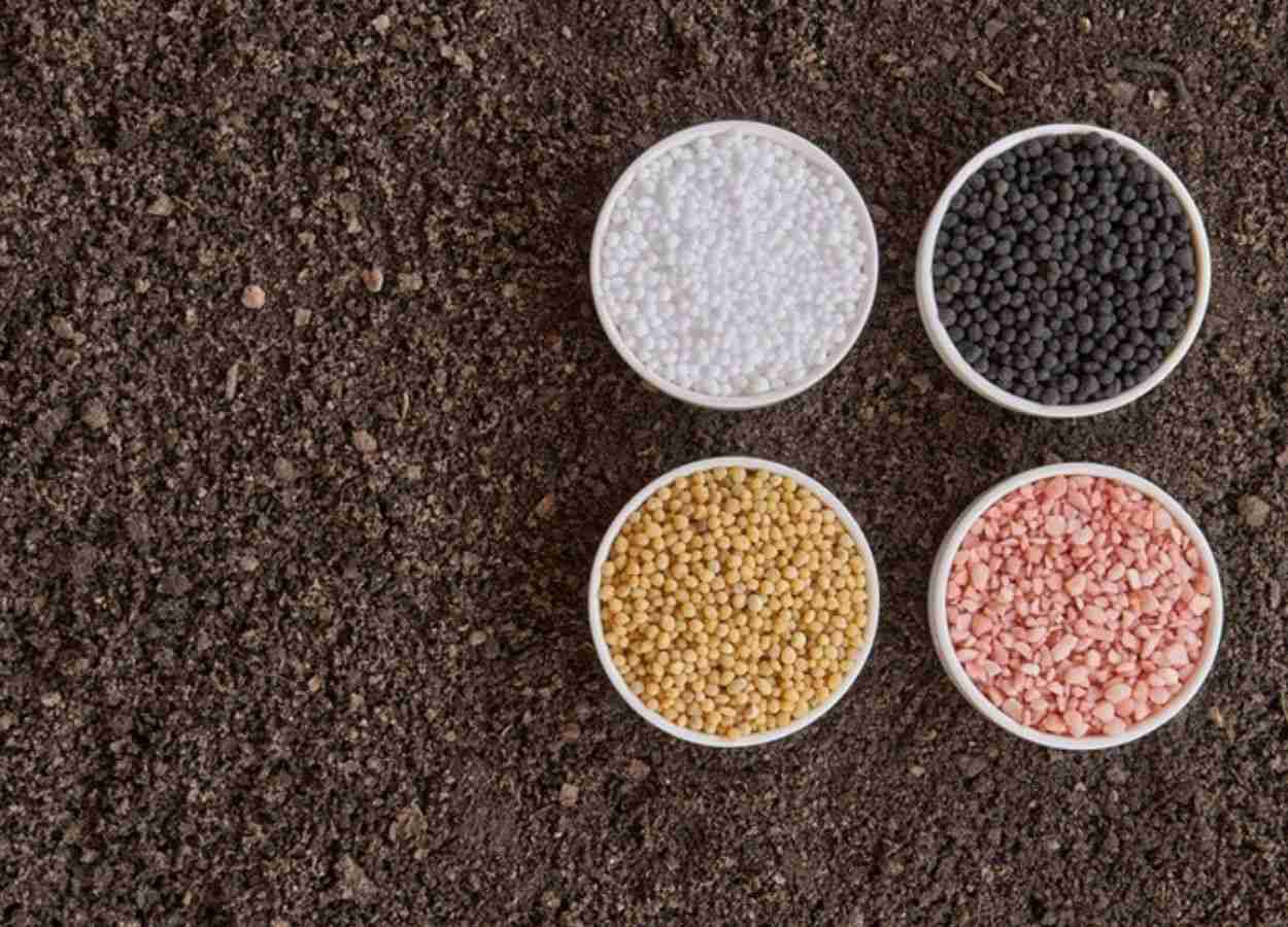 Alta da amônia e do enxofre pressiona setor de fertilizantes