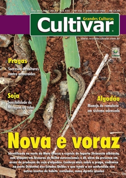 Nova e voraz