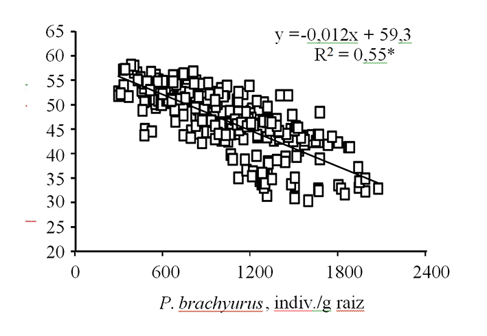 Figura 3 - Relação entre a produtividade da soja (cultivar suscetível) e a densidade populacional do nematoide-das-lesões-radiculares (Pratylenchus brachyurus), determinada em experimento conduzido sobre solo arenoso (10% de argila), no município de Vera/MT