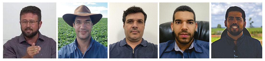 Brucelli, Cabral, Carmo, Ribeiro Júnior e Sousa chamam a atenção para quantidade incomum da falsa-medideira em milho