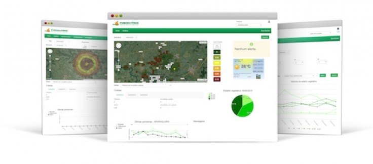 Fundecitrus lança nova versão do sistema de Alerta Fitossanitário