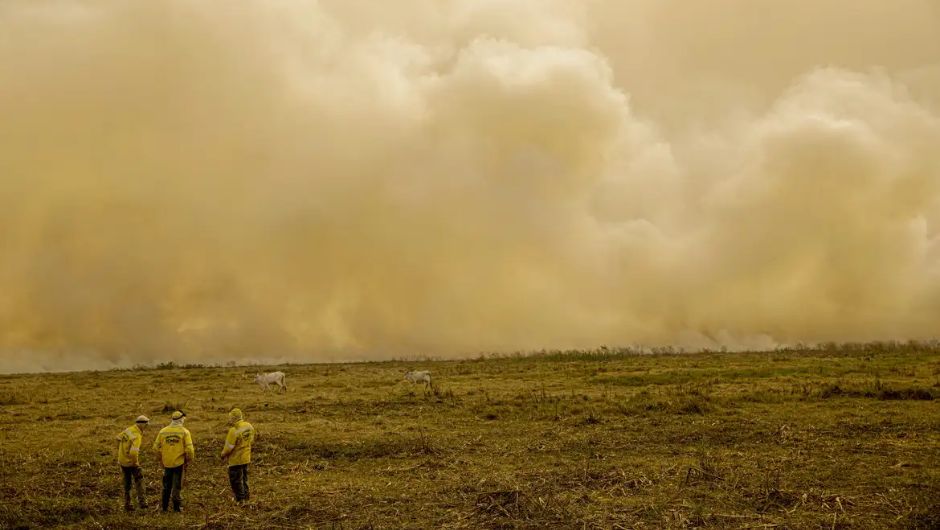 Foto: Joédson Alves/Agência Brasil