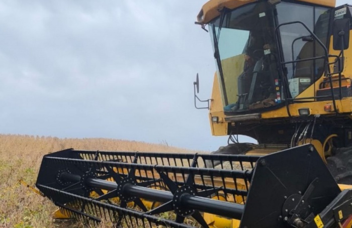 RS Safra 2025/26: soja perde produtividade e colheita avança