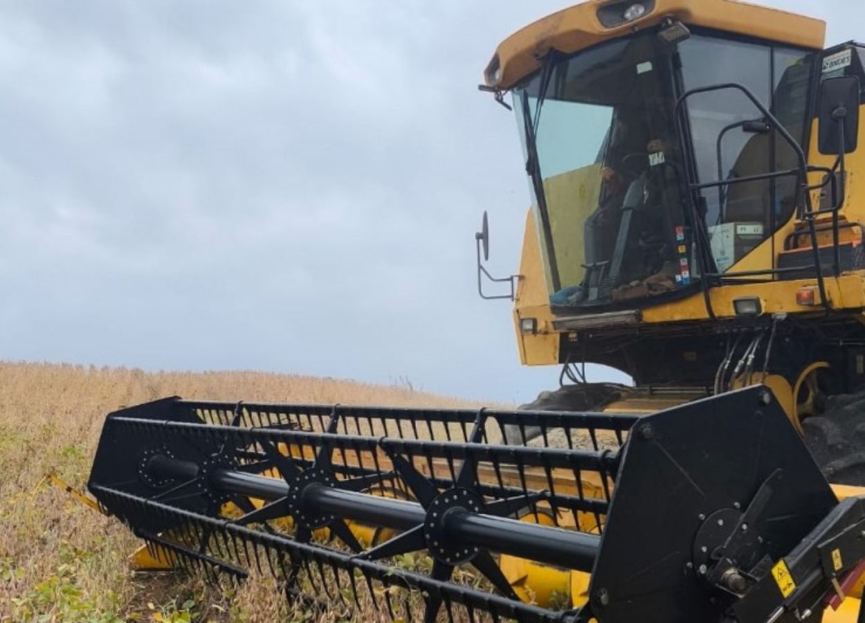 RS Safra 2025/26: soja perde produtividade e colheita avança