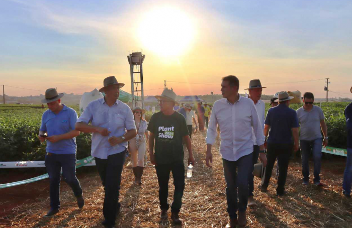 Coopatrigo Plant Show evidencia benefícios da irrigação e do manejo do solo