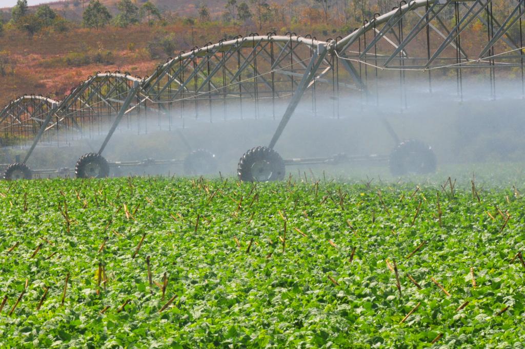 Câmara aprova medida provisória que facilita crédito a projetos de irrigação