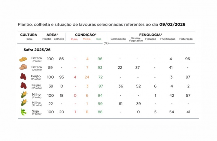 PR Safra 2025/26: plantio do milho 2ª safra avança no campo