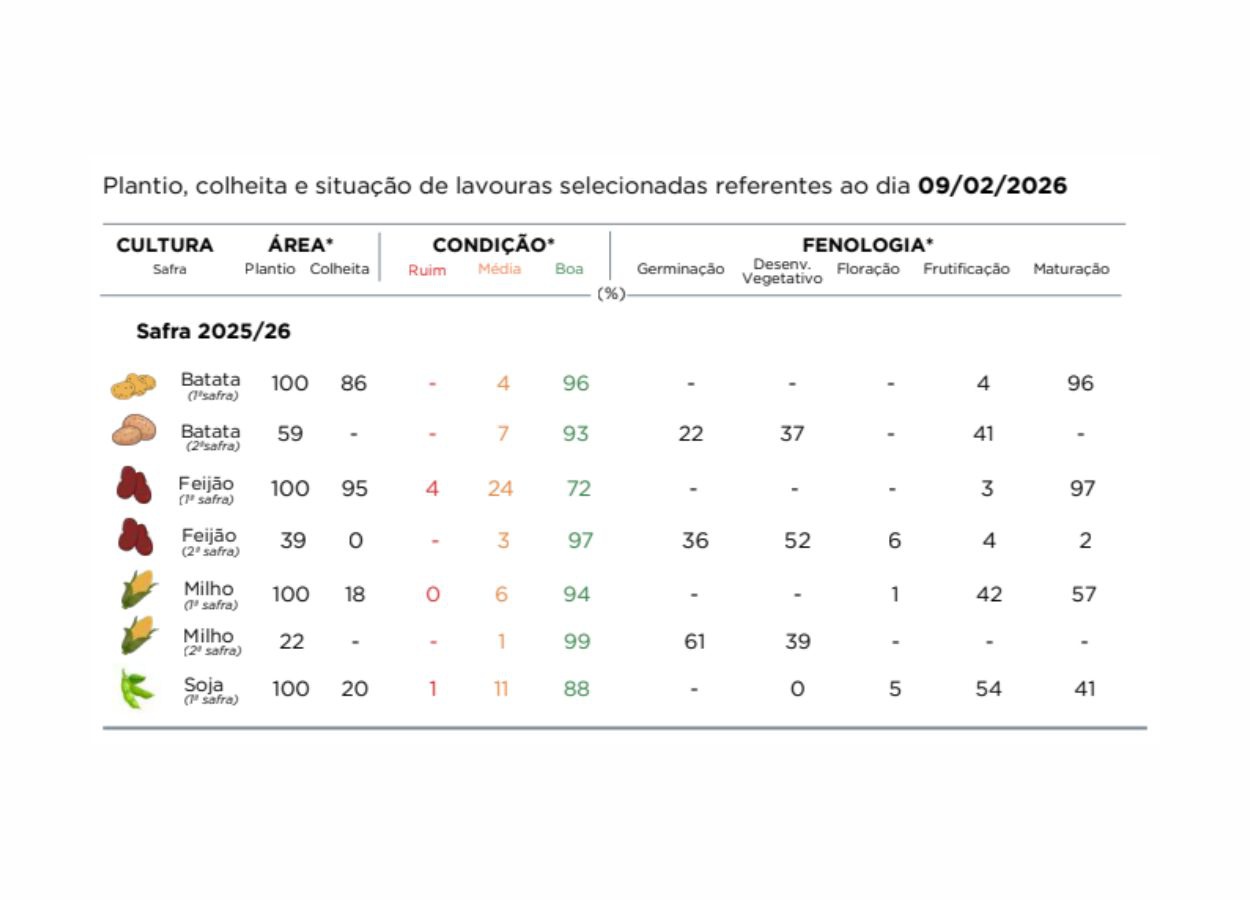 PR Safra 2025/26: plantio do milho 2ª safra avança no campo