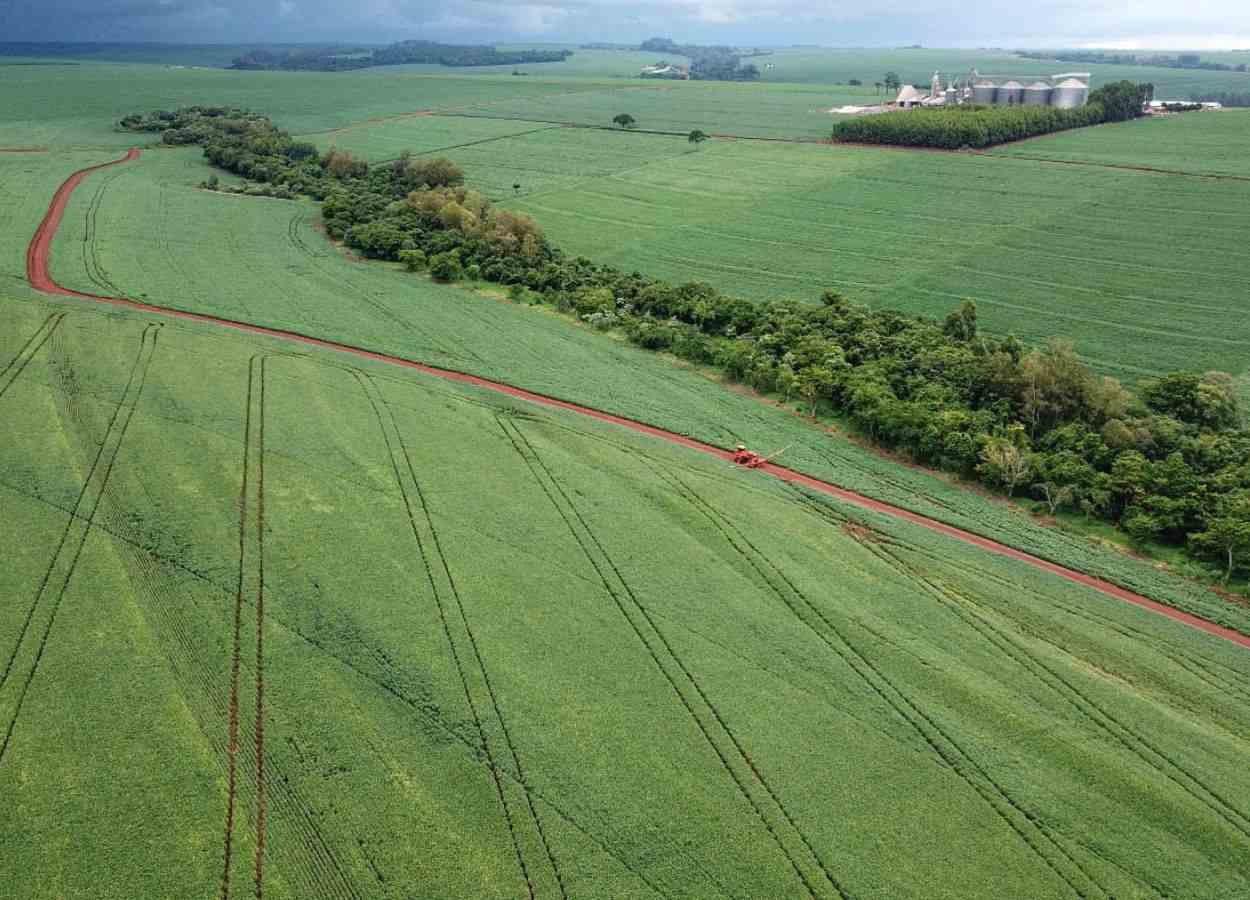 PR Safra 2024/25: colheitas avançam, mas clima exige atenção