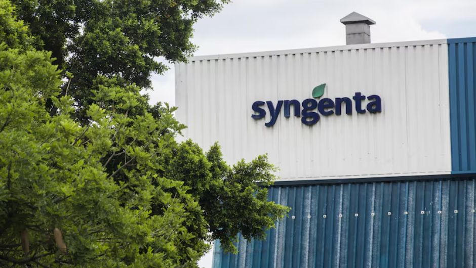 Foto: Waldo Swiegers