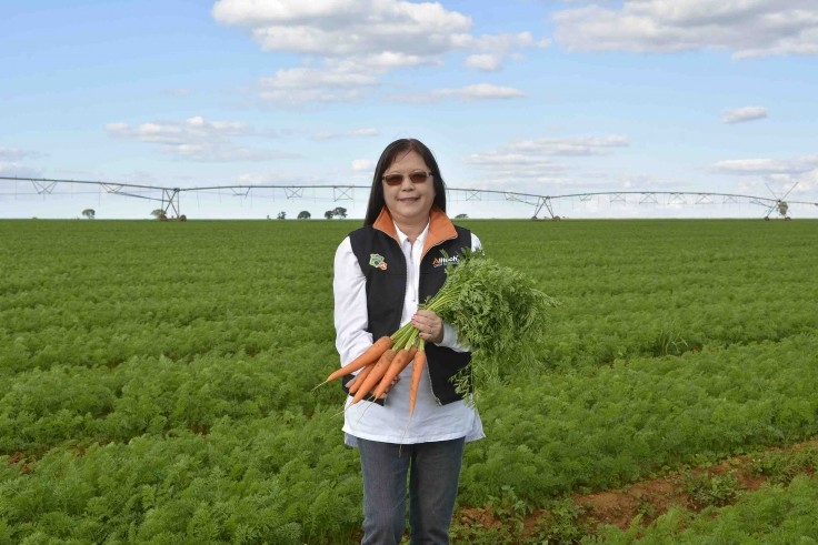 Condições naturais e boas práticas de manejo colocam produtores de São Gotardo (MG) em destaque na produção de hortifruti