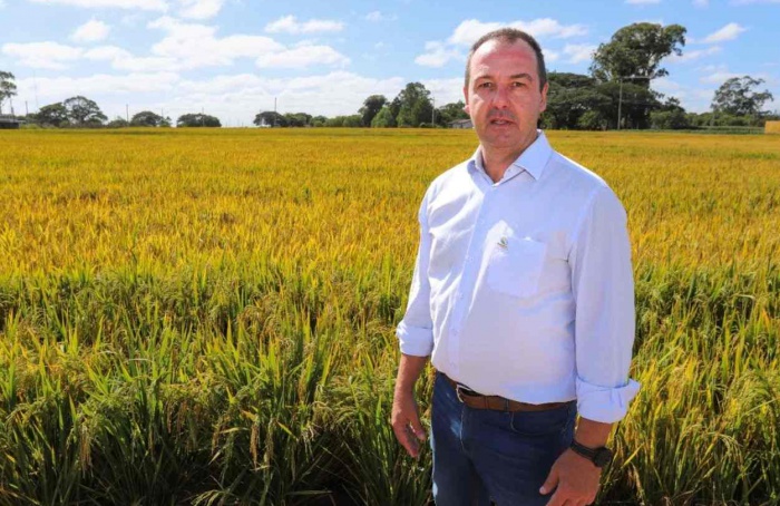 Federarroz pede uso da taxa do arroz para escoar safra