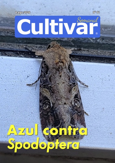 Cultivar Semanal 91
