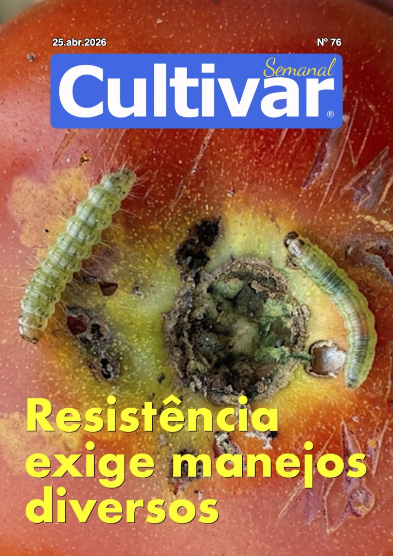 Cultivar Semanal 76