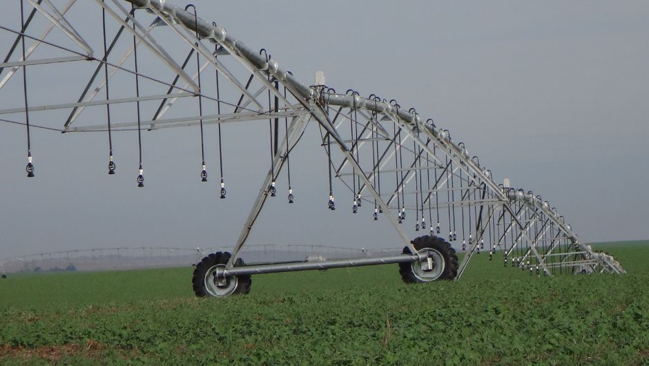 Foto: Paulo Ernani Ferreira