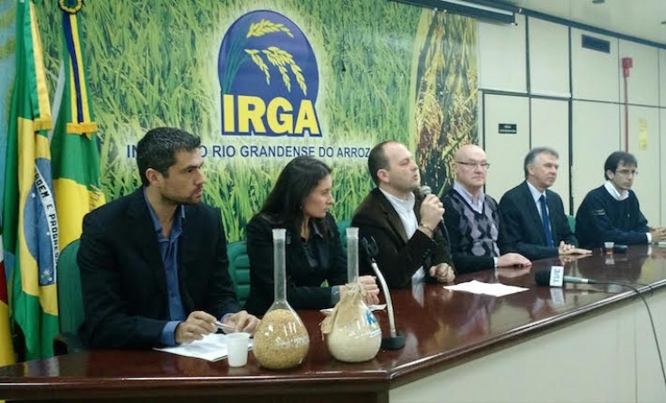 Produtores já podem aderir ao programa Arroz na Bolsa