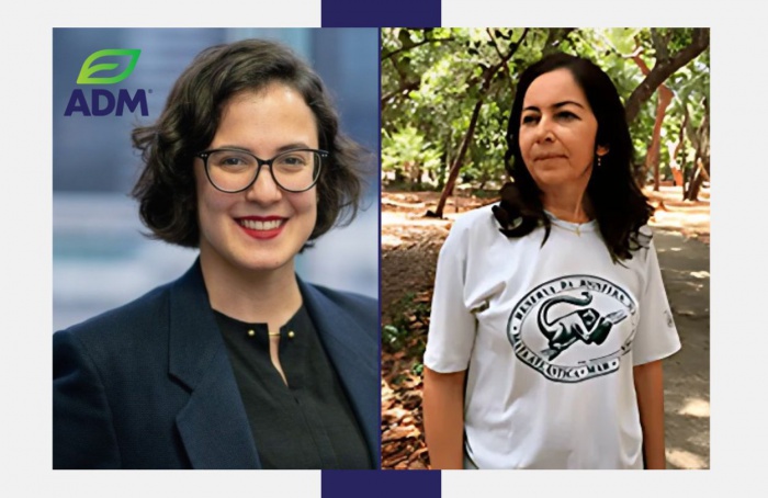 Parceria fortalece conservação de abelhas na Mata Atlântica