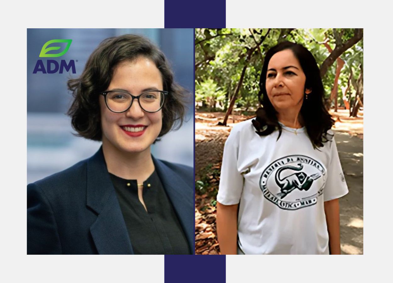 Parceria fortalece conservação de abelhas na Mata Atlântica