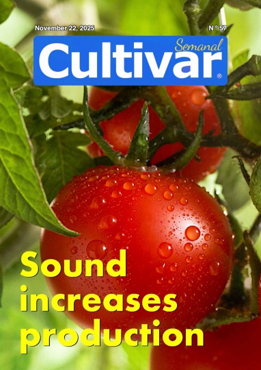 Cultivar Semanal 57