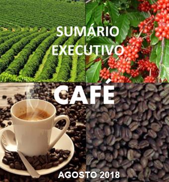 Área utilizada com cultivo do café robusta no Brasil ocupa apenas 375 mil hectares em 2018