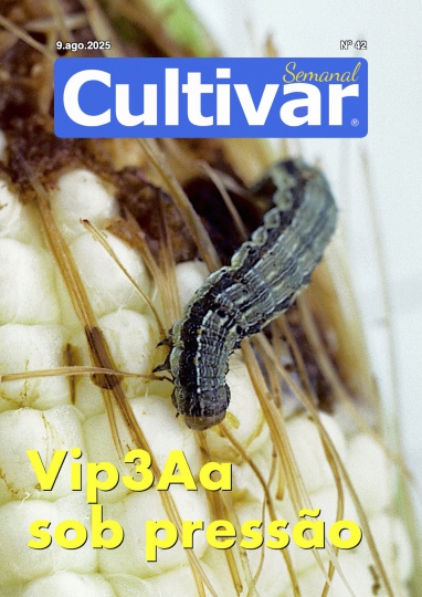 Cultivar Semanal 42