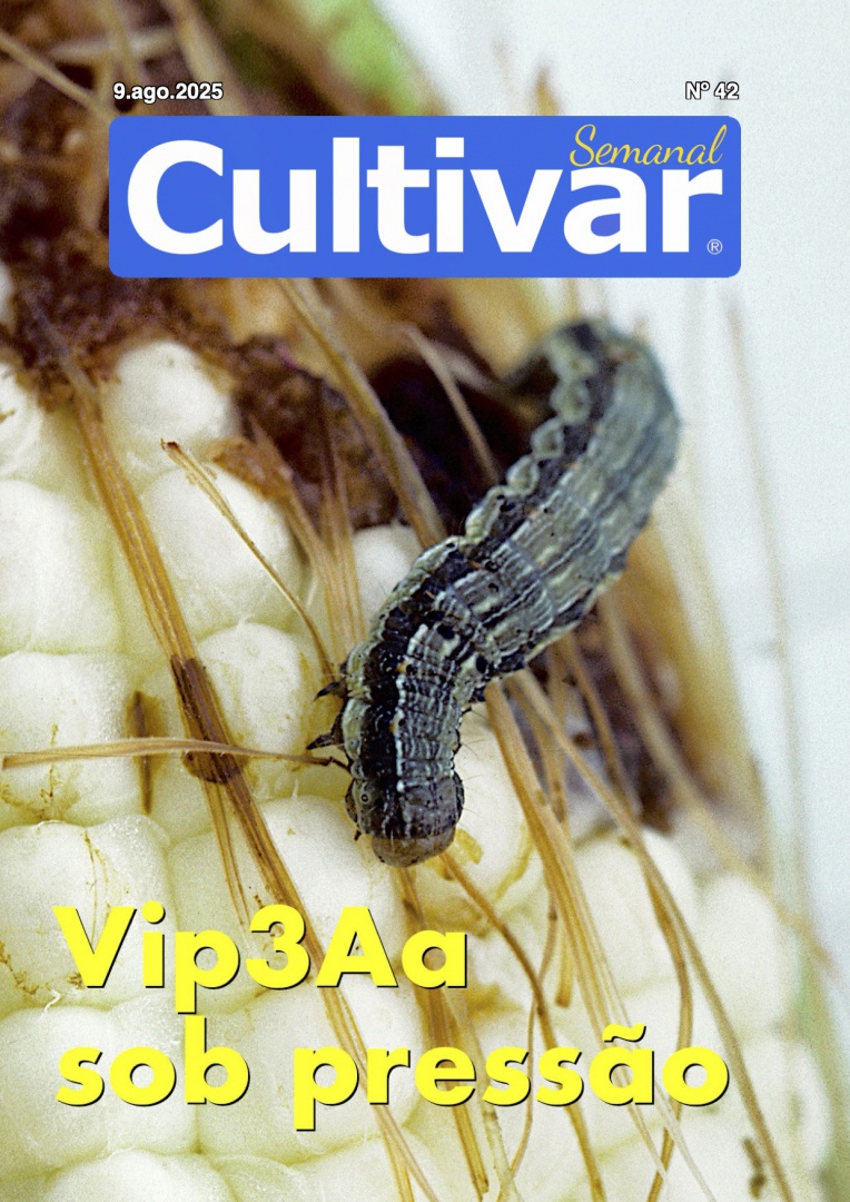 Cultivar Semanal 42