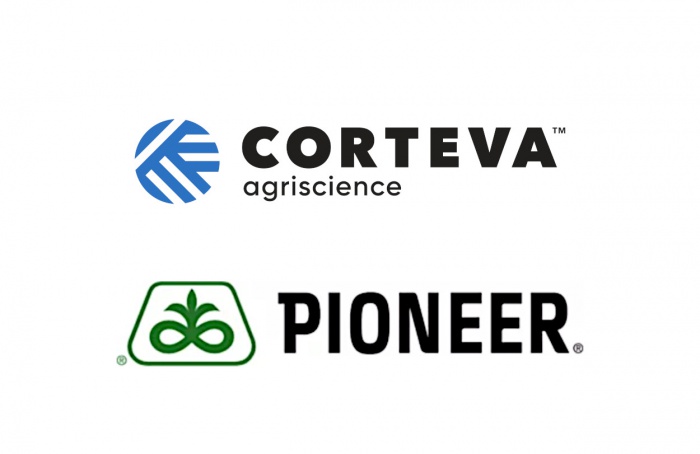 Corteva anuncia cisão: sementes e proteção de cultivos