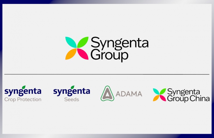 Syngenta Group anuncia resultados financeiros do primeiro semestre de 2024