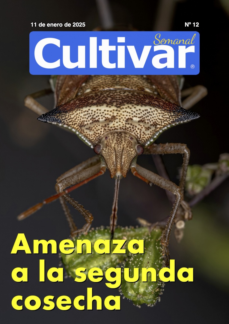 Cultivar Semanal 12