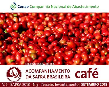 Cafés do Brasil têm produtividade média superior a 32 sacas por hectare em 2018