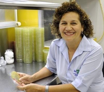 O Dia do Algodão terá palestra Saúde do Solo e Sustentabilidade Agrícola