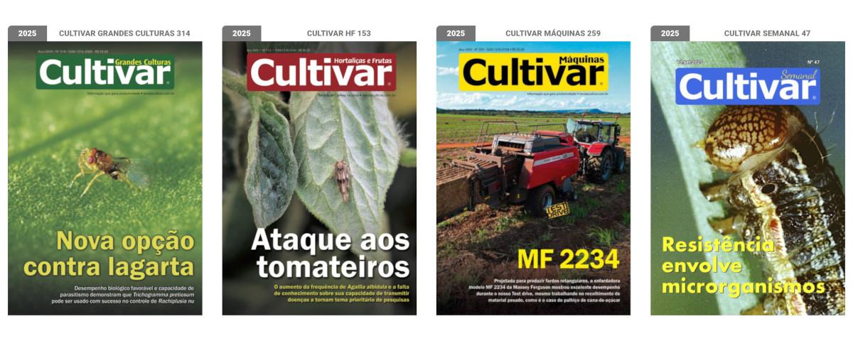 Capas - 2025