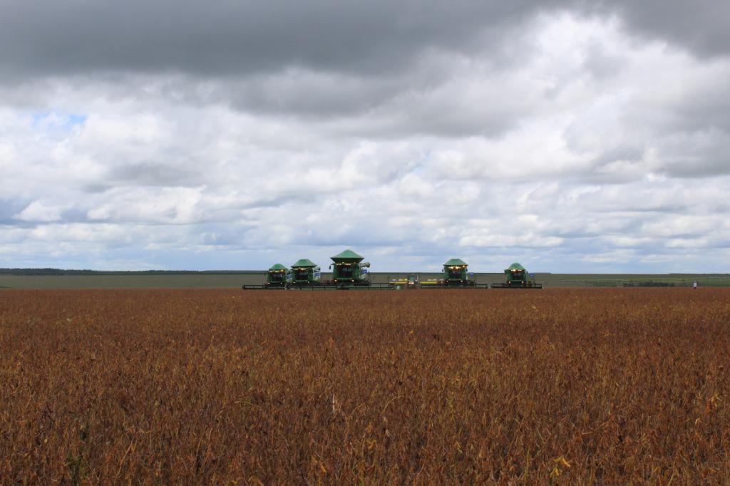 Com pico na segunda quinzena de fevereiro, colheita de soja em Goiás está em 5%, estima Aprosoja-GO