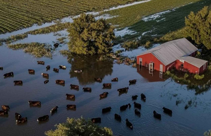 USDA libera US$ 531 milhões para cobrir perdas agrícolas na Geórgia